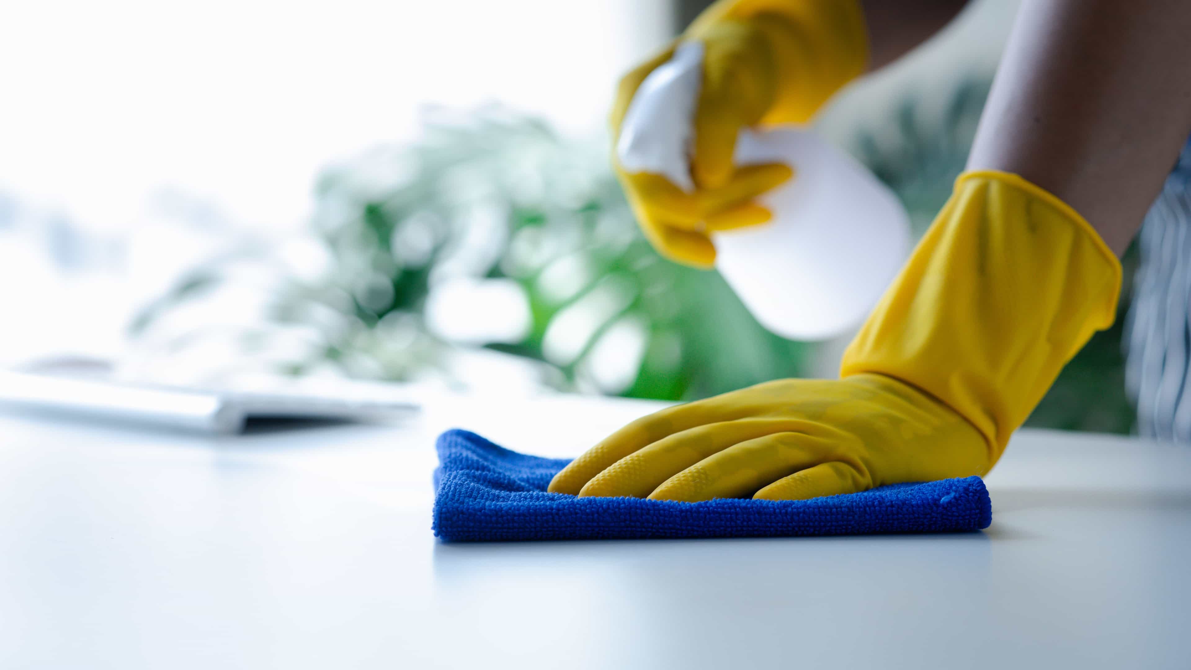 Hero image for The Clean Freaks